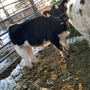 Meet your Posher, Erica